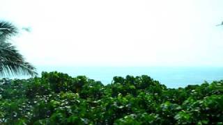 MVI_3268.AVI