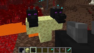 Spawning The Ender Dragon In The Nether? #shorts Spawning The Ender Dragon In The Nether? #shorts