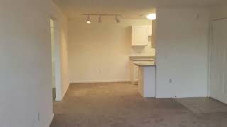 A3 retro one bedroom one bath, 760 square feet