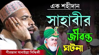 Pirzada Sanaullah Siddique Waz //এক শহীদান সাহাবীর জীবন্ত ঘটনা, পীরজাদা সানাউল্লাহ সিদ্দিকীর ওয়াজ