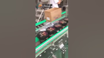 Automatic case packer