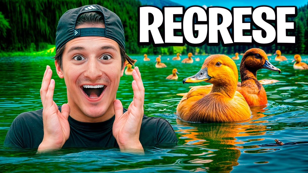 VISITE A MIS PATOS !!
