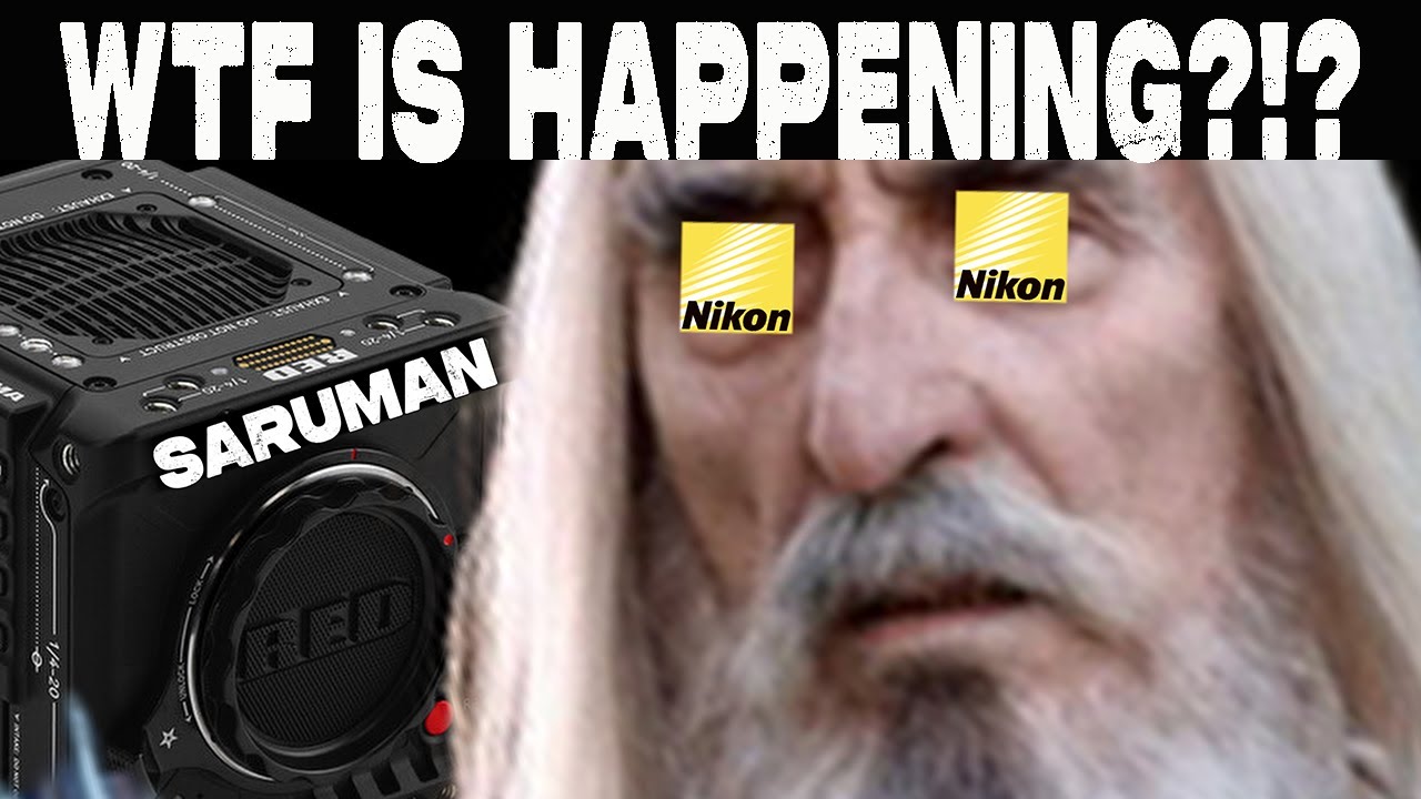 What Happens When 1 Dodo Bird Tries to Save Another Dodo Bird?