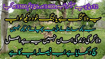 Vlogging Tips For Beginners to Grow in 2025