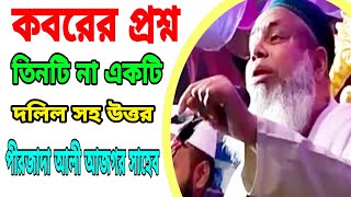 কবরের প্রশ্ন তিনটি না একটি pirjada Ali Asgar Sahab bangla waz