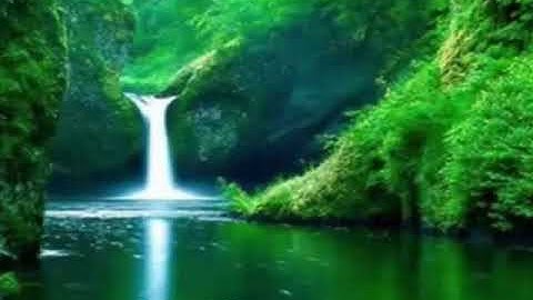 (لا يكلف الله نفسا إلا وسعها ) تلاوة رائعة من سورة البقرة _ سامي الكردي