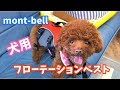 mont-bell犬用フローテーションベスト購入【トイプードルのサラ】