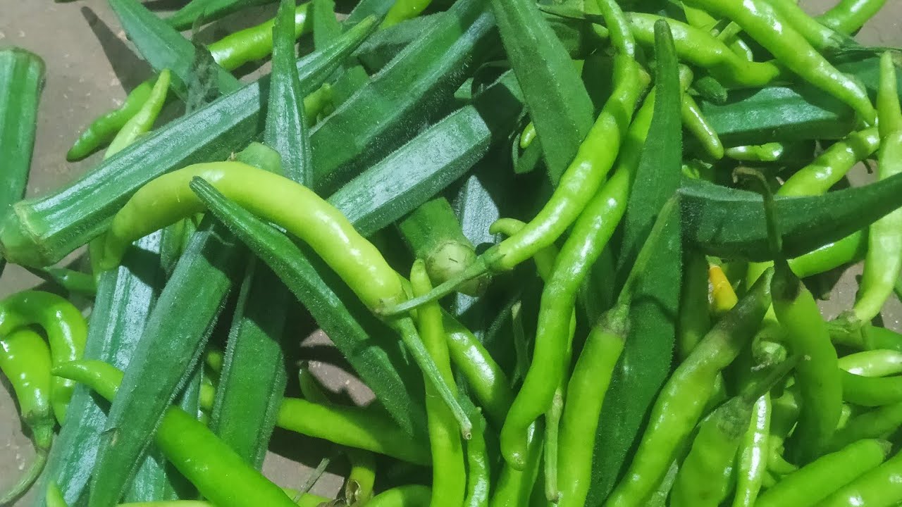 భాగ్యం విశ్వ నిజస్వరూపాని అమూల్య ముందు బయట పెట్టిన నర్మద,విశ్వ చెంప పగలగొట్టిన అమూల్య షాక్ లో వల్లి