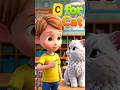 C for Cat 🐈 #abcforkids #abclearning #aforapple #alphabetsong #cforcat #kidslearning #kidseducation