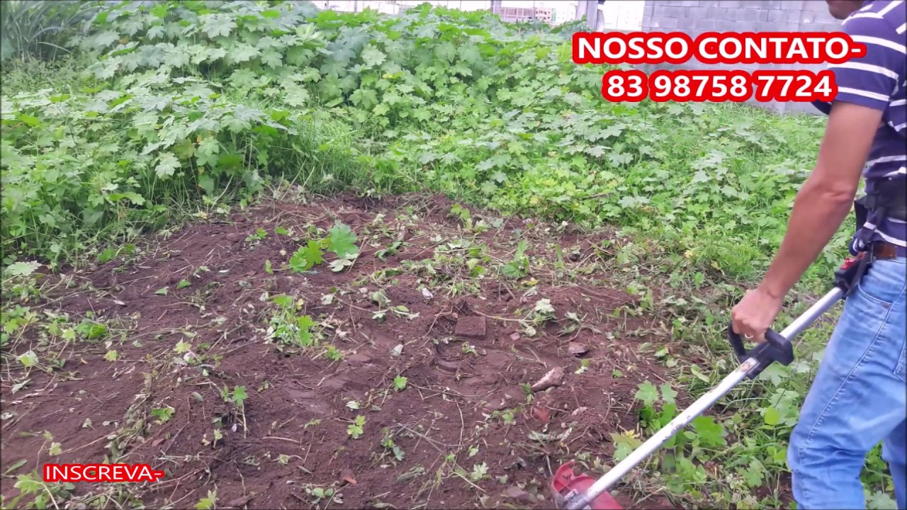 cavalos de raça ENXADA LIMPANDO MATO