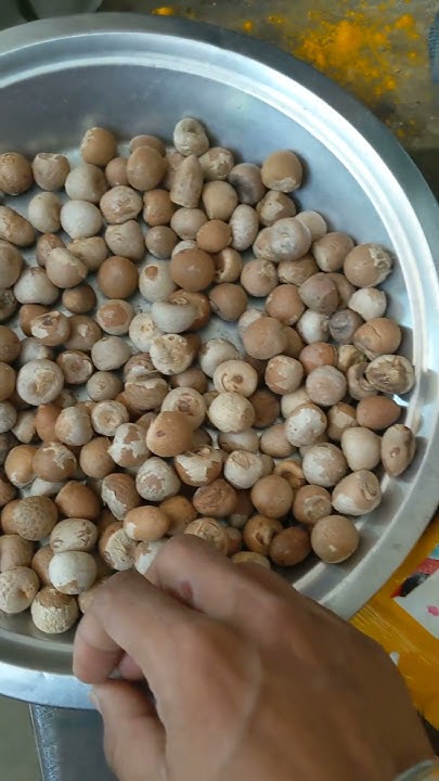 betel-nuts-puja-supari-available-on-indiamart-youtube