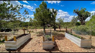 Homestead Progress Part 2: Food Production Install &amp; Natural Materials Fencing + Healthy Change