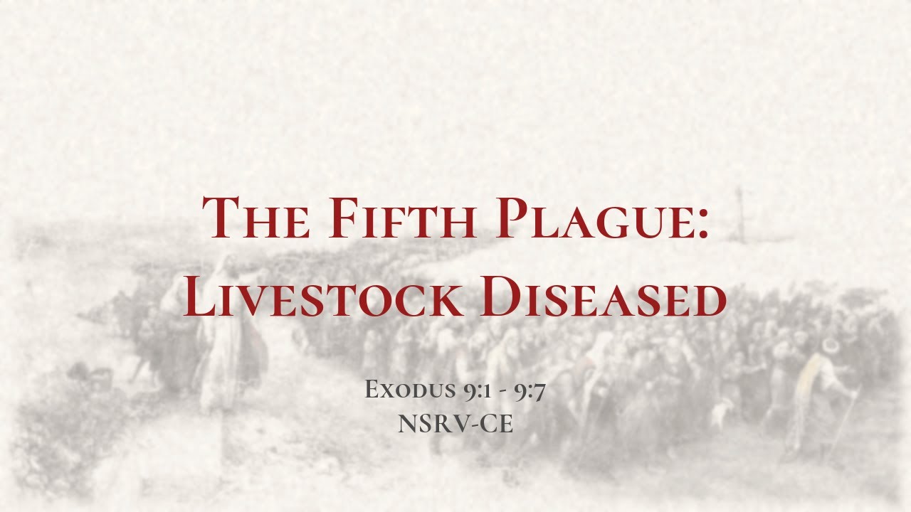 The Fifth Plague: Livestock Diseased - Holy Bible, Exodus 9:1-9:7 - YouTube