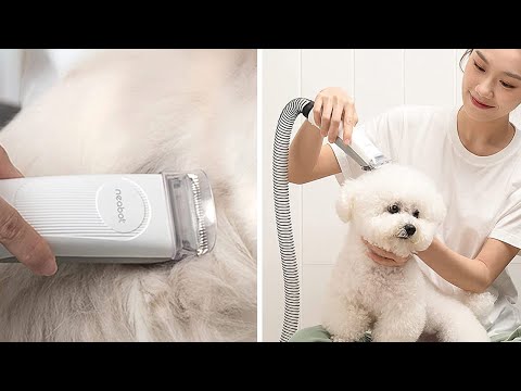 5 Things to Know About the Neabot P1 Pro Pet Grooming