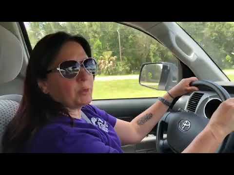 cheetah running speed NEW Bobcat Rehab Kitten Coming - Foxtrot