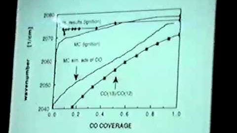 Eduardo Wolf: CO oxidation on Pt-  IR and monte carlo