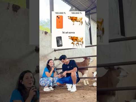 iPhone 17 Pro/ Gebe İnek | Hangisi Daha Kârlı ?