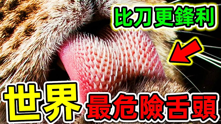 全世界最危险的10种动物舌头！被舔一舔可能失去四肢，宠物爱好者千万小心！|#世界之最top #世界之最 #出类拔萃 #脑洞大开 #top10 #动物舌头 #最危险舌头 - 天天要闻