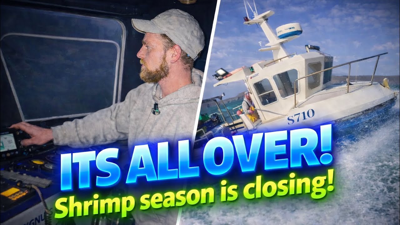 SHRIMP SEASON CLOSING! Back to Commercial Lobster Fishing!