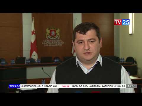 საკონსტიტუციო სასამართლოში ამერიკის მოქალაქის კონსტიტუციური სარჩელი განიხილება