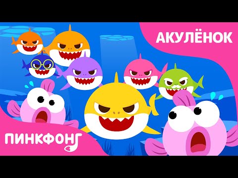 Акулёнок И Его Большая Семья | Акулёнок | Песни Про Животных | Пинкфонг Песни Для Детей