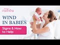Wind in babies  causes and remedies