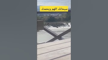 أرح سمعك سورة الرحمن