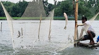 অলৌকিক কান্ড হঠাৎ করে এত মাছ কোথায় থেকে এলো ।। 2 ঘন্টায় মাছের বন্যা