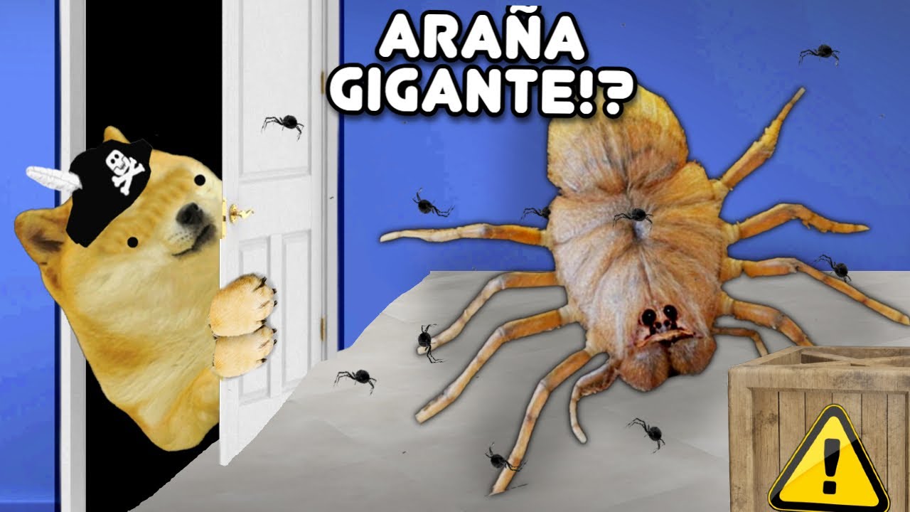 COMPRAMOS UNA ARAÑA EN LA DARK WEB, ES GIGANTE por un NIÑO con DERECHO - Hilo con cheems