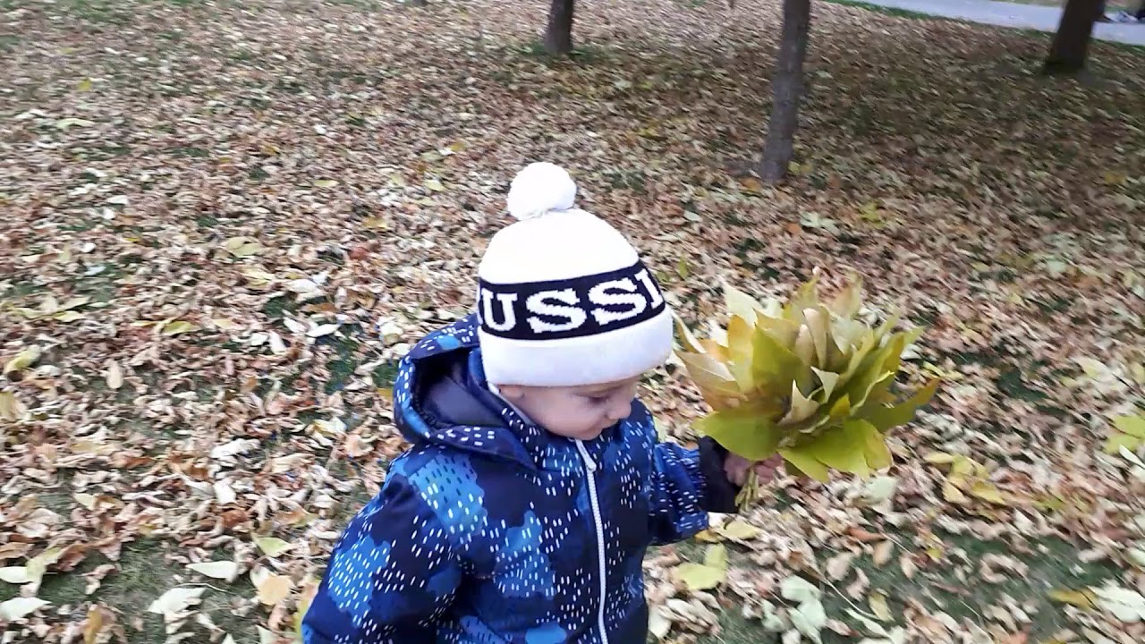 Весенняя пора очей очарованье