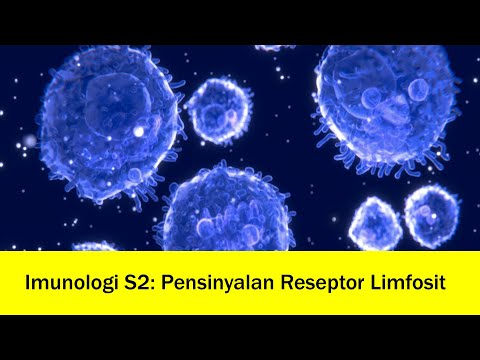 Video: Pensinyalan Reseptor Antigen Pada Penyakit Rematik