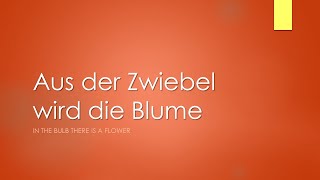 Aus der Zwiebel wird die Blume (in D) - Klavierbegleitung und Text zum Mitsingen