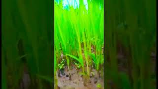 cyclone🥀 mt,E1,E2,E3,E4,E5,E6,E7,E8,E10