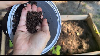 AIRTHEREAL Electric Kitchen Composter | Fast and Easy Odor-Free Home Composter
