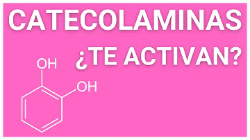 ¿Qué hacen las catecolaminas en el cerebro?