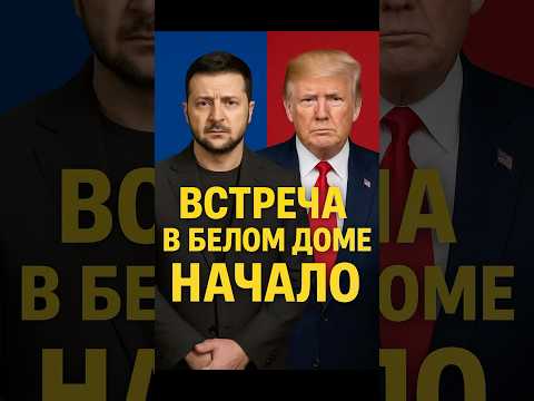Журналист извинился перед Зеленским прямо в Белом доме!