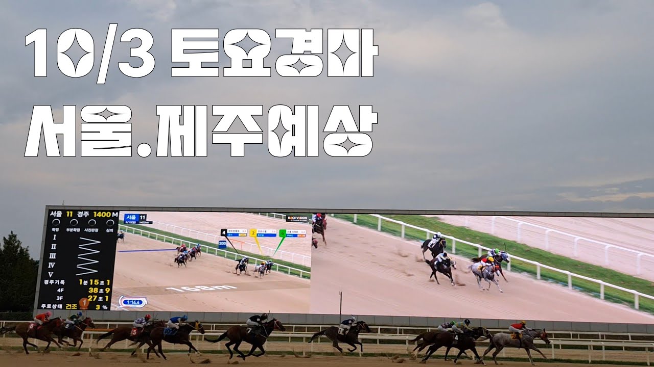 10월3일 토요경마 서울.제주예상 