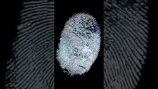 Unlocking the Future: How Fingerprint Scanners & Access Control Systems Are Revolutionizing Security