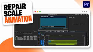 How to Fix Scale Keyframes Not Working in Premiere Pro (2026 Keyframe Repair)