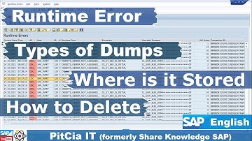 How to Clean Up Your SAP S4 Dump: Tips for Housekeeping Activities | PitCia IT