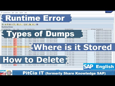 How to Clean Up Your SAP S4 Dump: Tips for Housekeeping Activities | PitCia IT