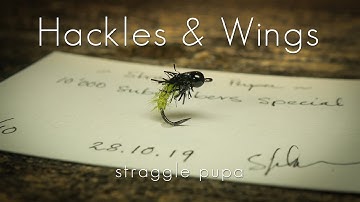 Fly Tying Straggle Pupa | Hackles & Wings