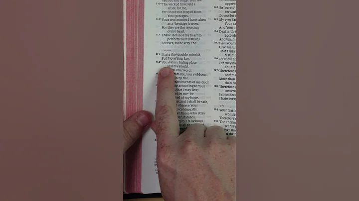 Psalms 119:114 • Bible Verse of the Day