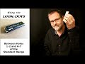 Brendan power  lucky 13 harmonica tips  using the lookdots