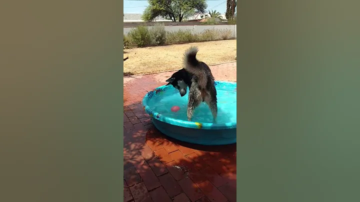 Neo Gets His Own Pool