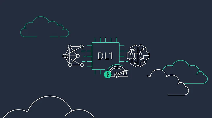 New Amazon EC2 DL1 instances Overview Video | Amazon Web Services