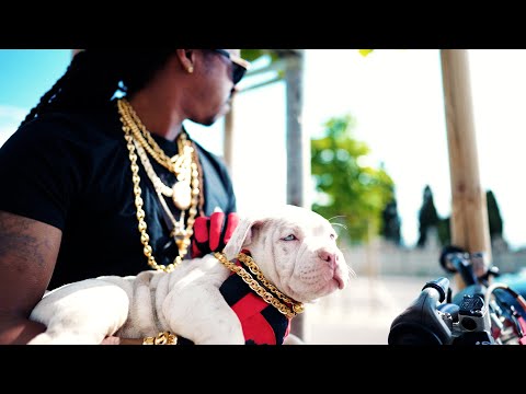 Gu2zman - RÈGLEMENT DE COMPTE (freestyle)