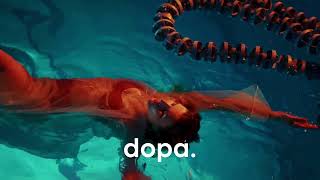 CamelPhat, Arodes - Cycles