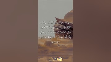 سورة لقمان / يا أيها الناس اتقوا ربكم واخشوا يوما لا يجزي والد