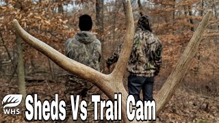 Best WHITETAIL SCOUTING Strategy